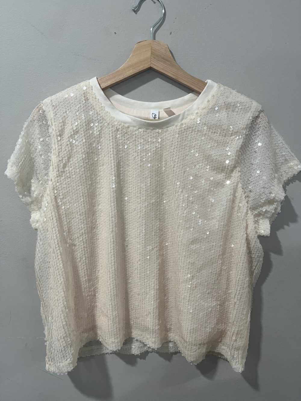 NY Collection Ivory Sequin Short Sleeve Top